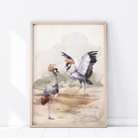 Plakát Safari - Ptáci jeřáby korunované P331