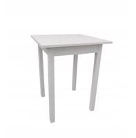 Ali Kuchyňský stůl MINI 90 x 60 cm -  bílá polární / bílá