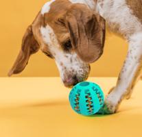 DT Žvýkací míček pro psy - mint