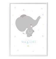 Plakát - Grey elephant 50x70 cm