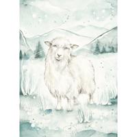 Plakát - Lovely sheep