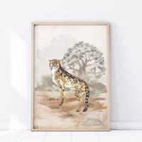 Plakát Safari - Gepard P325