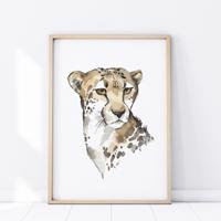 Plakát Safari - Gepard P334