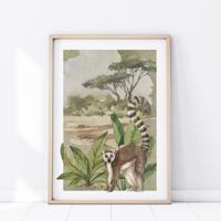 Plakát Safari - Lemur P349