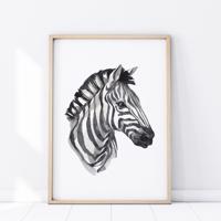 Plakát Safari - Zebra P339