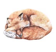 Vankúš Forest - spiaca líška