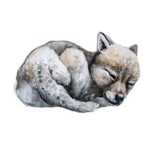 Vankúš Forest - spiaci vlk